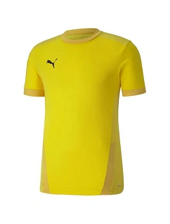 Puma teamGOAL 23 Jersey M 704171 07 pánské dresy