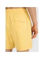 Pánské boardshortky 4F 4FWSS25UBDSM134-71S Pánské boardshortky 4F 4FWSS25UBDSM134-71S
