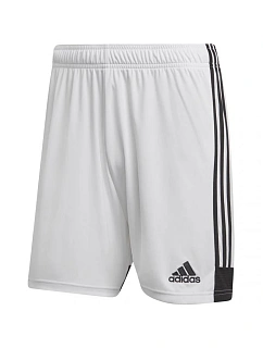 Šortky adidas Tastigo 19 M DP3247
