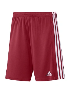 Pánské kraťasy Squadra 21 Short M GN5771 - Adidas