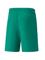 Šortky Puma teamLiga M 704924 05 Šortky Puma teamLiga M 704924 05