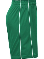 Daiber JN 387K Dětské týmové kraťasy "Basic" 02.387K green/white Daiber JN 387K Dětské týmové kraťasy "Basic" 02.387K green/white
