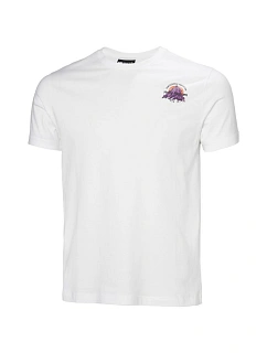 Helly Hansen Core Graphic T 2.0 M 54599 002 tričko