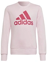 Dětská mikina Big Logo SWT Jr HM8709 - Adidas
