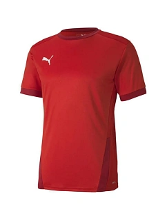 Puma teamGOAL 23 Jersey M 704171 01 pánské dresy