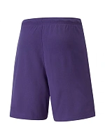 Puma teamRise Short Prist M 704942 10 Puma teamRise Short Prist M 704942 10
