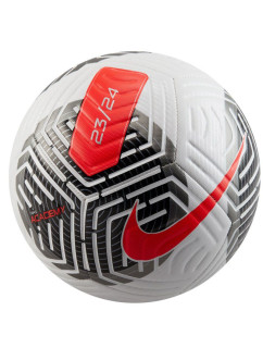 Fotbalový míč Nike Futsal FB2894-100