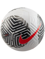 Fotbalový míč Nike Futsal FB2894-100