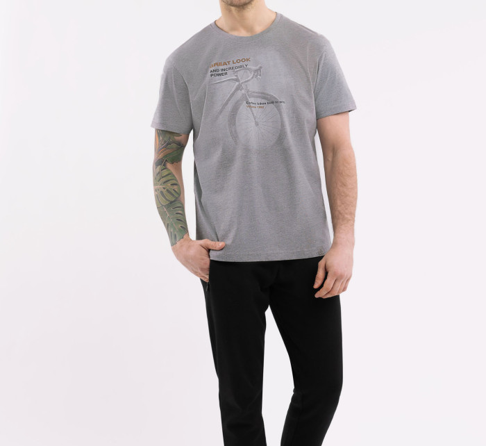 Volcano T-Shirt T-Expert Grey