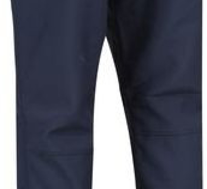 Dámské zateplené kalhoty Regatta RWJ177R Womens Fenton Modrá