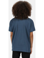 Dětské tričko REGATTA RKT106 Bosley III Modro šedé