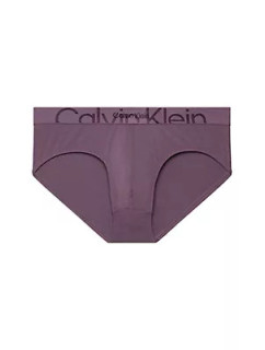 Spodní prádlo Pánské spodní prádlo HIP BRIEF 000NB3298ALN1 - Calvin Klein